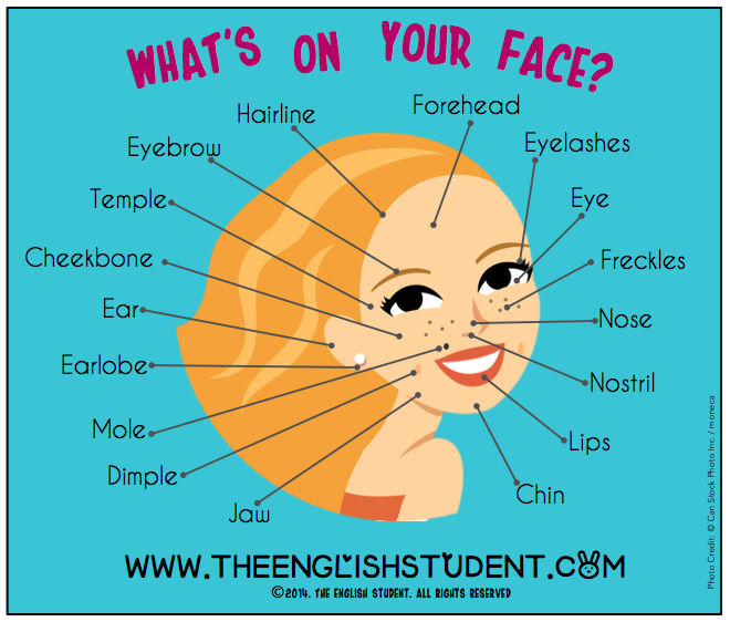 The English Student, www.theenglishstudent.com, English Student, ESL blog, ESL website, ESL teaching ideas, facial features, names of features on face, ESL vocabulary, 