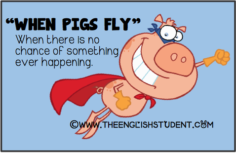 The English Student, www.theenglishstudent.com, ESL idioms, ESL blogs, when pigs fly, what does when pigs fly mean, probability, ESL probability, flying pig