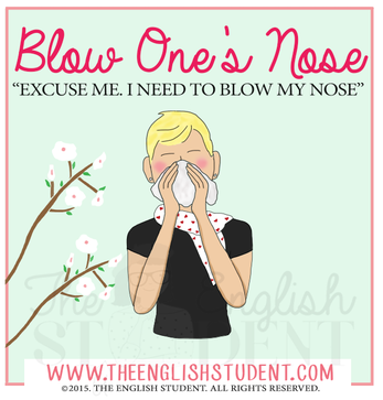The English Student, blow one's nose idiom, what does blow my nose mean, ESl illness, ESL going to the doctors, vocabulary health, blow nose, allergies, how to reduce allergies, spring allergies, www.theenglishstudent.com, English for students 
